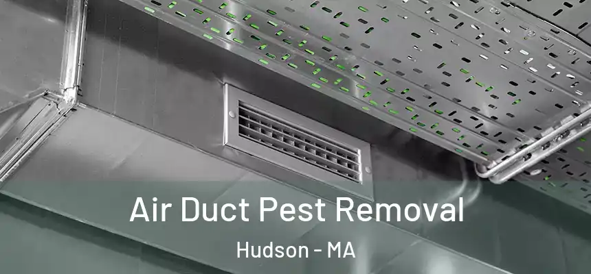  Air Duct Pest Removal Hudson - MA