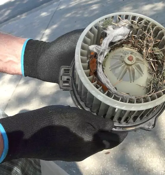 About Air Duct Rat Removal in Hudson, MA