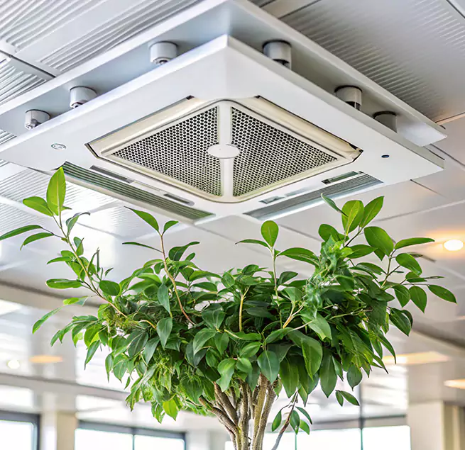 Why Homeowners & Businesses Trust Us in Hudson, MA